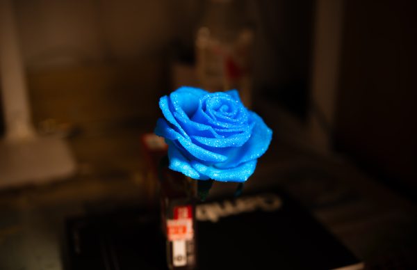 FoolFish 作品