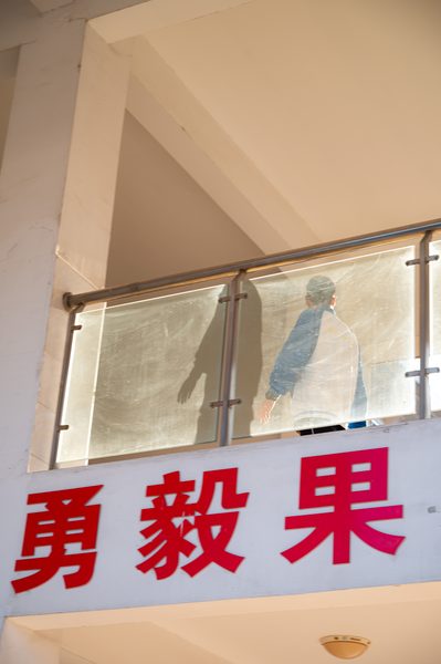 dove 作品